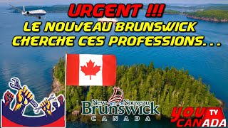 Urgent : Le Nouveau Brunswick cherche ces métiers...