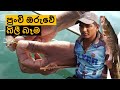 බිලී බෑම | rod fishing | lagoon fishing