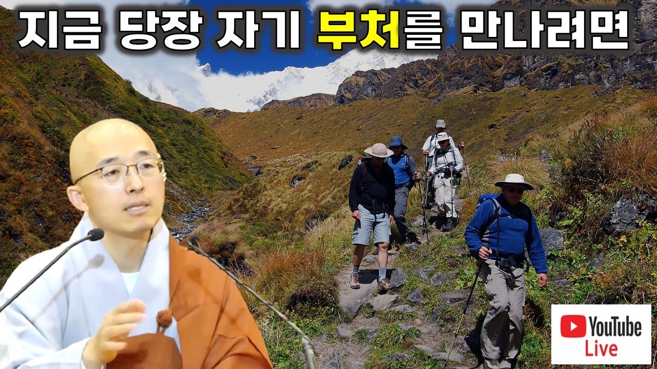 [돈오54] 지금 당장 자기 부처를 만나려면, 진정한 나는 무엇인가