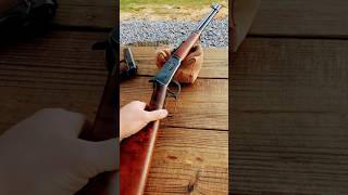 Would you pick this gun in a zombie apocalypse to survive?? If not what gun??