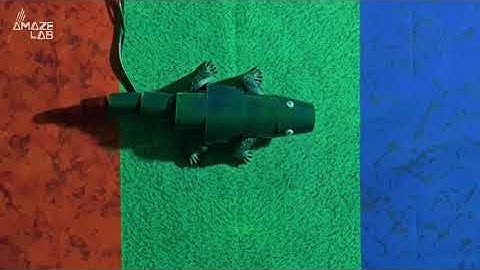 This High-Tech Chameleon Robot Can Blend in With Its Surroundings Like the Real Thing