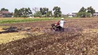 Traktor Diesel Rotary  Dipakai  Petani di Sawah