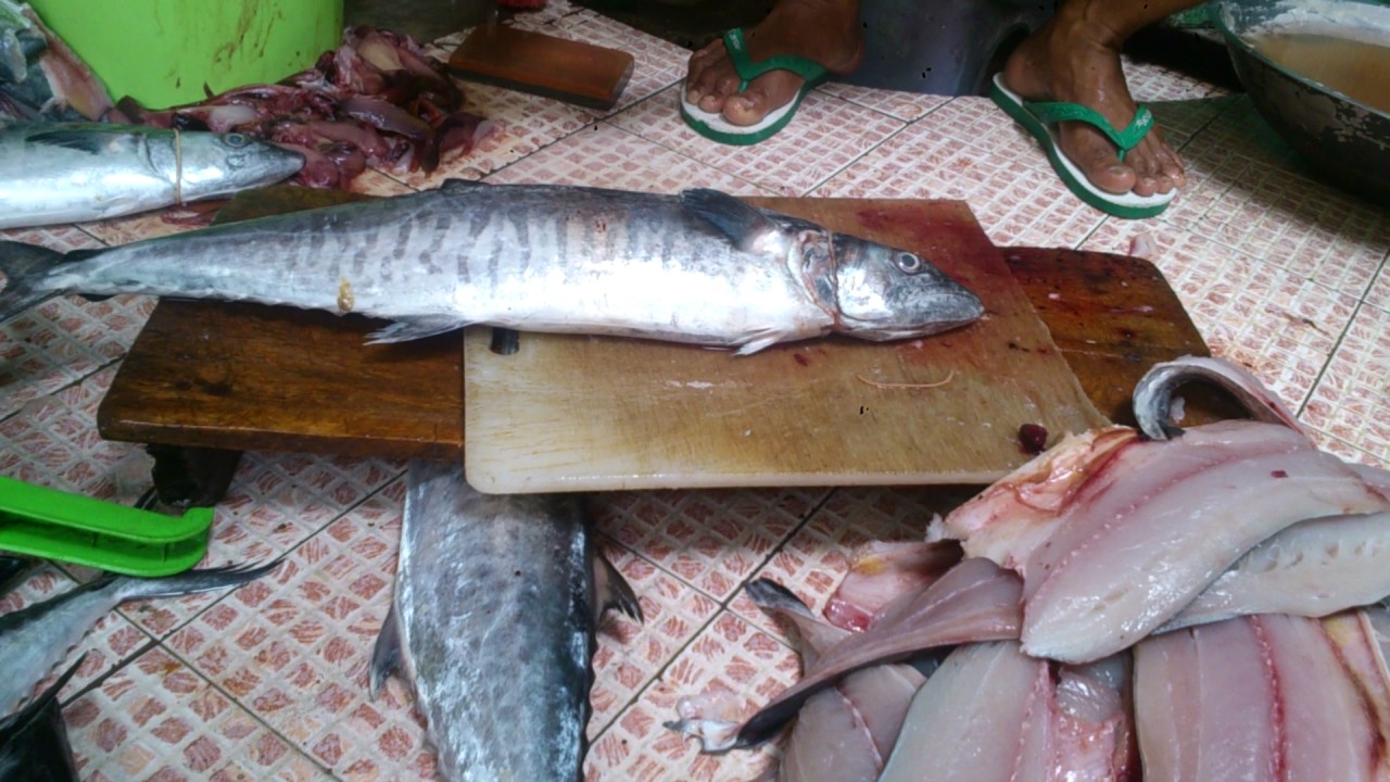 Fillet ikan  tenggiri  YouTube