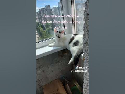 наша любица - Амора - YouTube