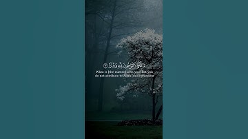 فقلت استغفروا ربكم من سورة نوح بصوت عبدالرحمن الماجد