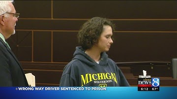 Wrong-way driver sentenced in deadly I-96 crash