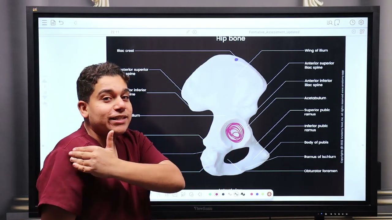 المحاضرة الأولى أناتومي 103 “جميع محاضرات الموديول مجانا” لدفعة 199 قصر العيني “Start of Lower Limb”