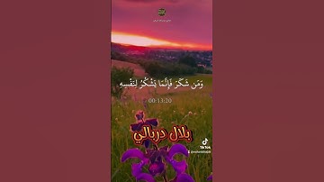 فلما رأه مستقرا عنده...القارئ بلال دربالي