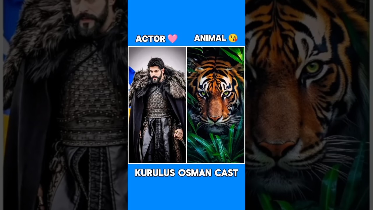 Kurlus osman season 6 actors as animals | 