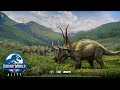 jurassic world alive(landsape)
