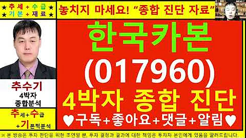 한국카본(017960)종목진단및향후주가전망 추수기(추수)전문가