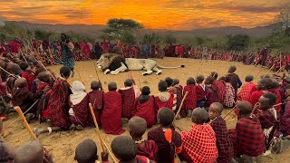 How to Become a Maasai Warrior Resimi
