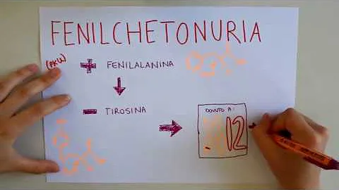 Cosa è dovuta la fenilchetonuria?