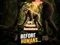 Proconsul: The Ancient Ape Before Humans! 🦍⏳ #Shorts #viralshort #facts