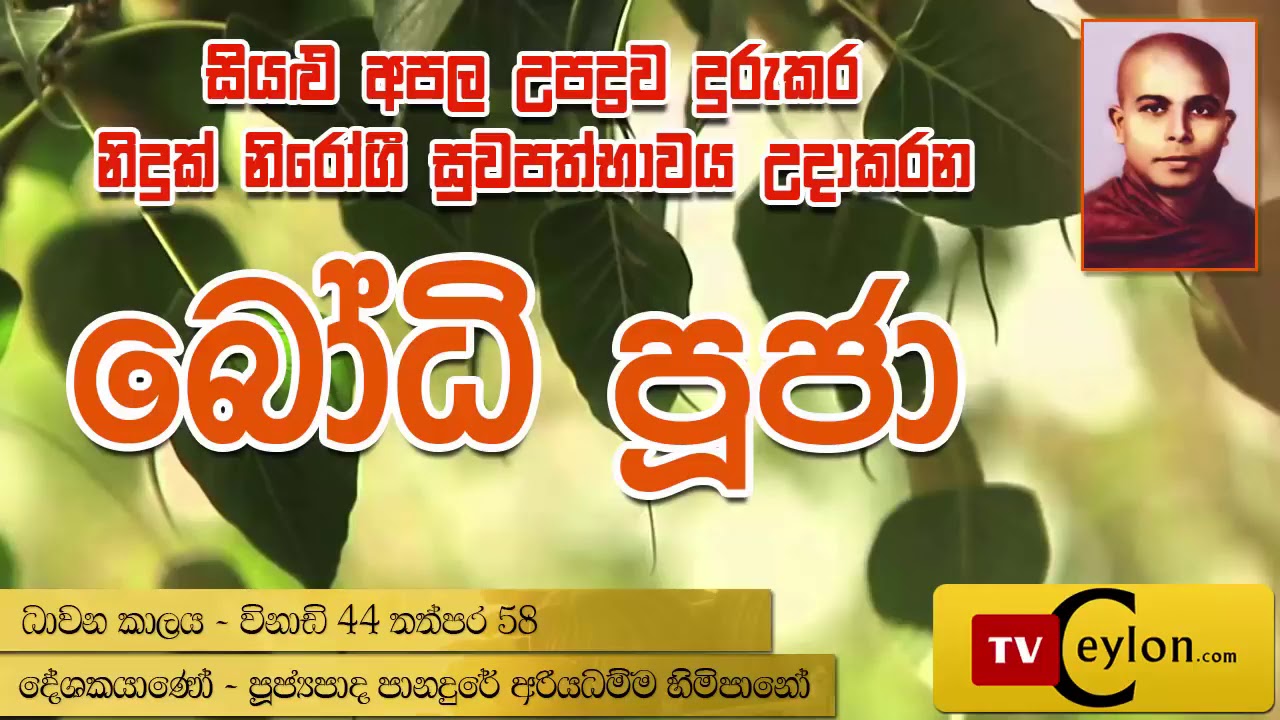 Bodhi Puja   බෝධි පුජා   Panadure Ariyadhamma Thero