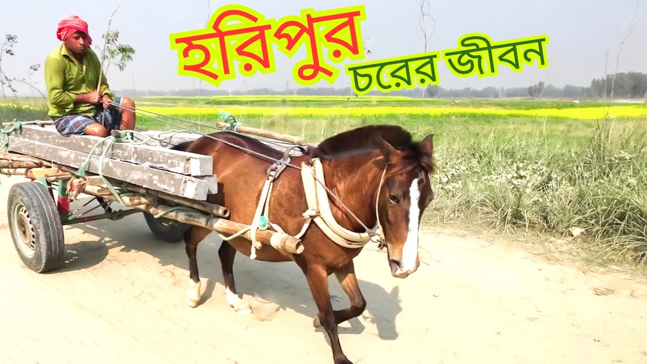 যমুনা পারের চর। সংগ্রাম আর টিকে থাকার গল্প