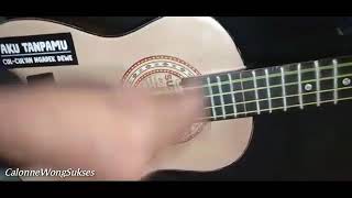 #storywa Story wa menemukanmu seventeen cover kentrung by calonne wong sukses