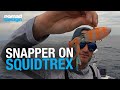 How to catch deep water snapper on squidtrex vibes  nomad design