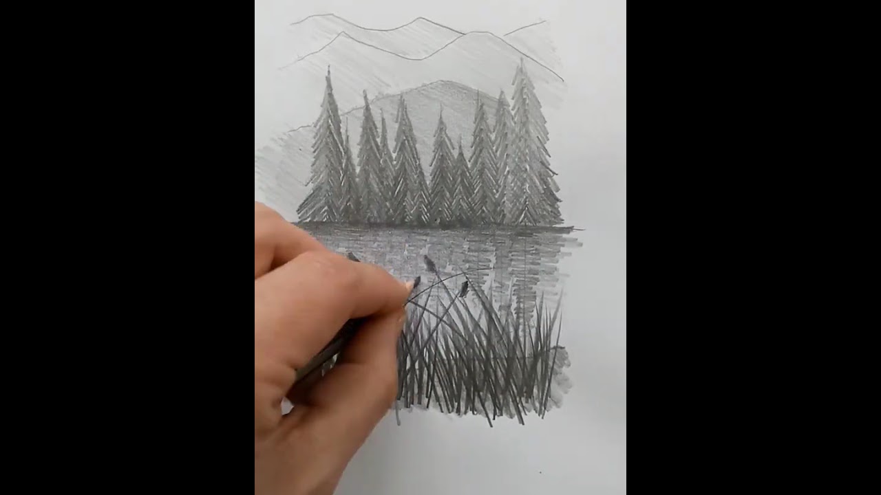 Detalle 20+ imagen dibujos de pinos a lapiz