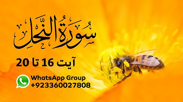 Surah Al-Nahl | سورة النحل | Ayah 16 - 20 | Quran Urdu Translation Only