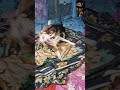 #labrador #dogowner #babydogecoinlatestupdate #petowner 💜🥰🥰❤️ কমেডি ভিডিও