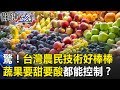 驚！台灣農民技術好棒棒 蔬菜、水果要長要短要甜要酸都能控制！？ 關鍵時刻20190228-3 林佳新