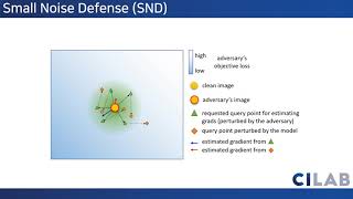 Information On the Effectiveness of Small Input Noise for Defending Against Query-based Black-Box Attacks Guide