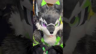 Play with me!🐺✨ #furry #fursuit #fursuiters #furries #fursona #cute