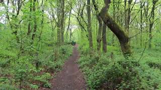 Robin Hood Way 10: Kighill to Blidworth Wed 29 Apr 20.