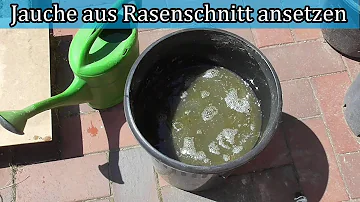 Wie mache ich aus Rasenschnitt Dünger?