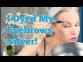 I Dyed My Eyebrows Silver!!