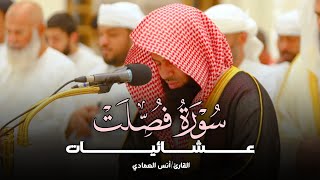 سورة فصلت تلاوة بديعة بصوت مميزة لفضيلة الشيخ أنس العمادي