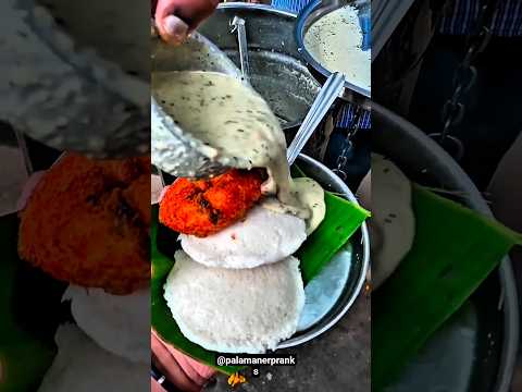 TASTY IDLY VAADA IN PALAMANER IN SRI RANGAVANDRA HOTEL #fyp #feedshorts #vlogs #IDLYLOVERS #tiffin