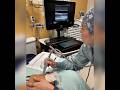 Ultrasound Branching 3-Vein Access Trainer with Artery | Clear and Opaque Models