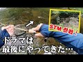 あの「スーパートラウトマスター」との釣行! 最後にとんでもないものが… 【北海道 渓流ルアー】 Hokkaido. Mountain Stream Lure Fishing.