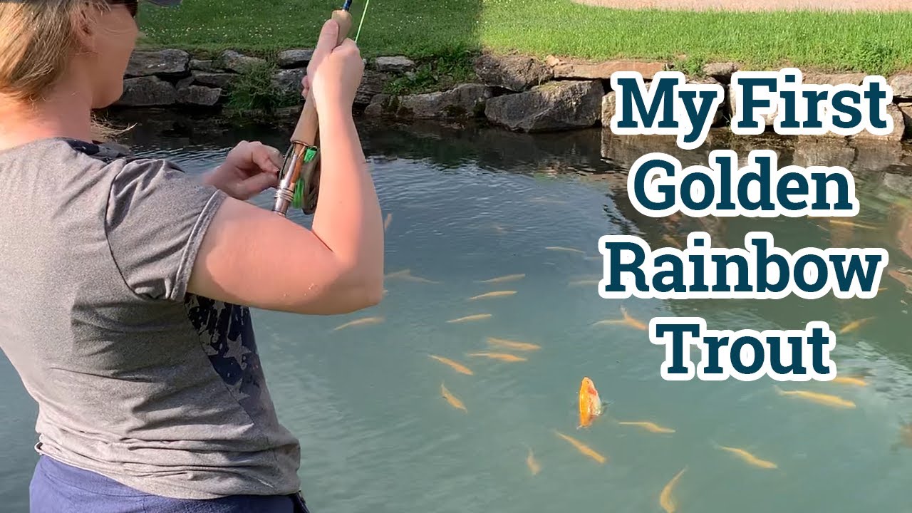 West Virginia Gold Rush: a history of the golden rainbow trout - WVDNR