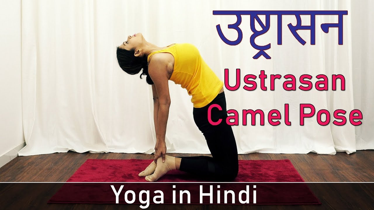 Camel Pose Yoga Asana Ustrasana In Hindi Yoga Poses For Weight Loss Yoga For Beginners Youtube