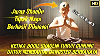 Ketika Bocil Shaolin Turun Gunung Untuk Membasmi Gangster || Alur Cerita Film The Shaolin Boys