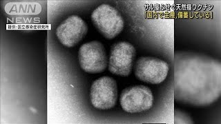 “サル痘”ふせぐ天然痘ワクチン「国内で生産備蓄」(2022年5月27日)