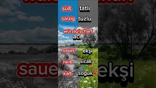 Almanca Keli̇meler 11