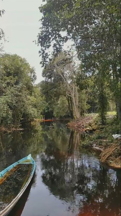 wisata air surung danum🍃 #palangkaraya #kalteng #fyp #shorts #aesthetic #storywa #healing #aesthetic