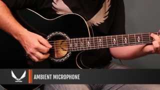 Dean Guitars product Demo - Dean Exhibition Ultra Acoustic/Electric with USB
