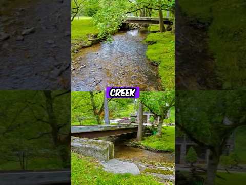 477 Stoney Fork Rd, Sneedville, TN home video tour