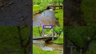 Timber Frame Cabin For Sale | 20 Acres | Creek | 477 Stoney Fork Rd, Sneedville, TN 37869