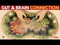 Understanding The REAL Gut-Brain Connection In 3 Minutes