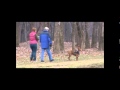 Kentuckiana K-9 tracking dog training compilation video Kentuckiana K-9 tracking dog training compilation video
