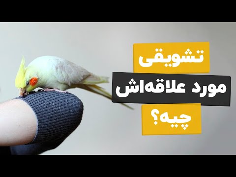 تصویری: اثر تشویقی چیست و & Nbsp؛ نحوه استفاده از آن