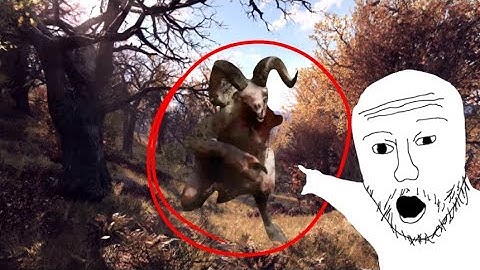 killing the sheepsquatch