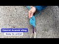 Untying a weighted Edelrid Aramid sling