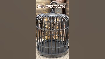 Lông chim bằng đồng #đồđồngnguyễnnghi #phongthuy #trendingshorts #đồđồngxưa